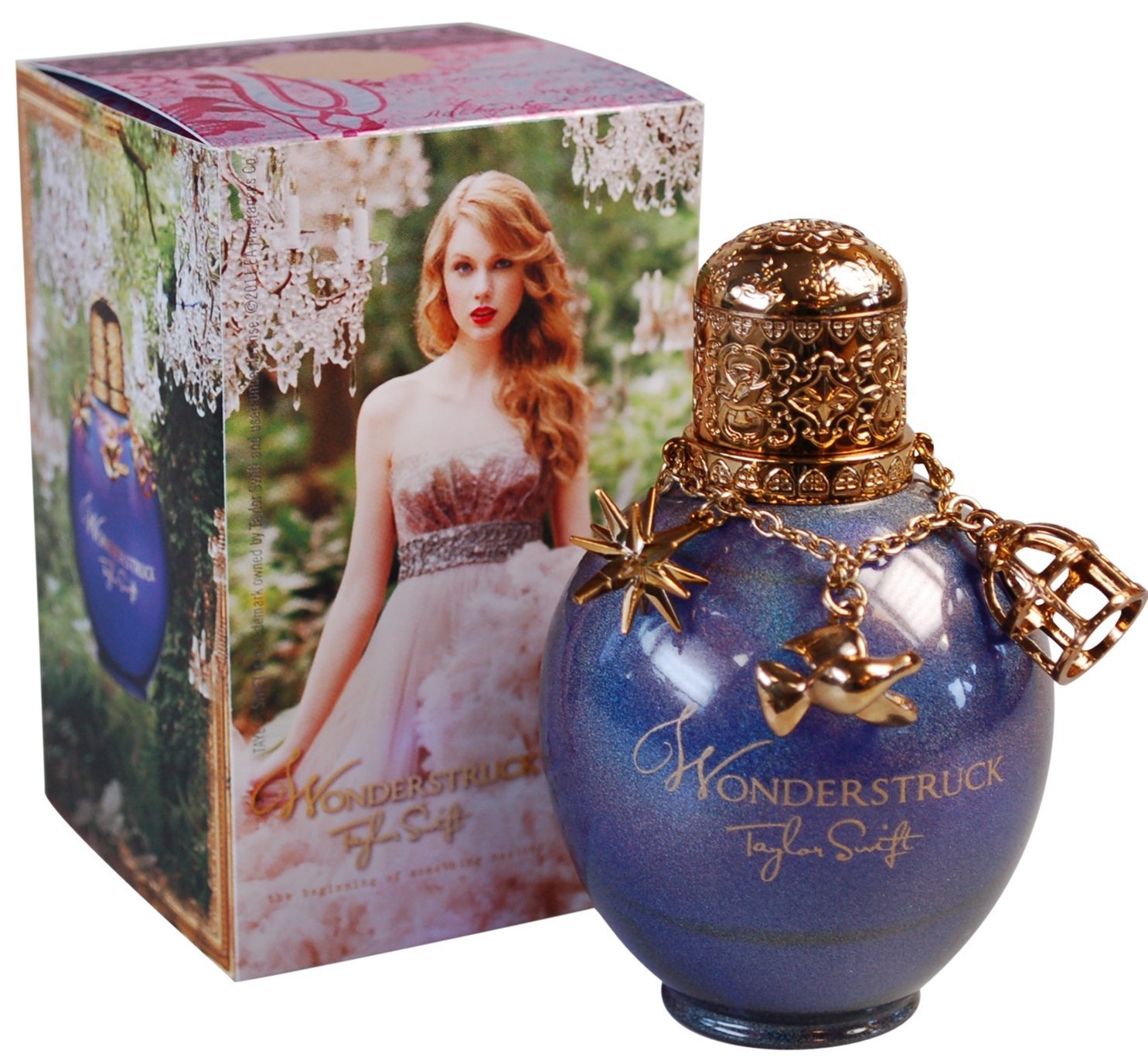 TAYLOR SWIFT MERCHANDISE STYLISH GUIDE FOR FANS